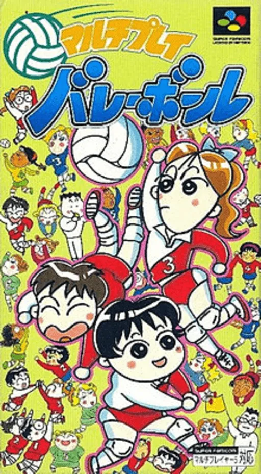 Multi Play Volleyball (Japan)